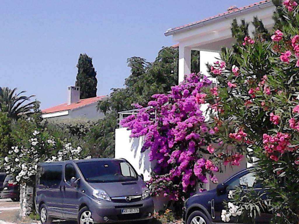Apartment Sanja Petrcane Exterior photo