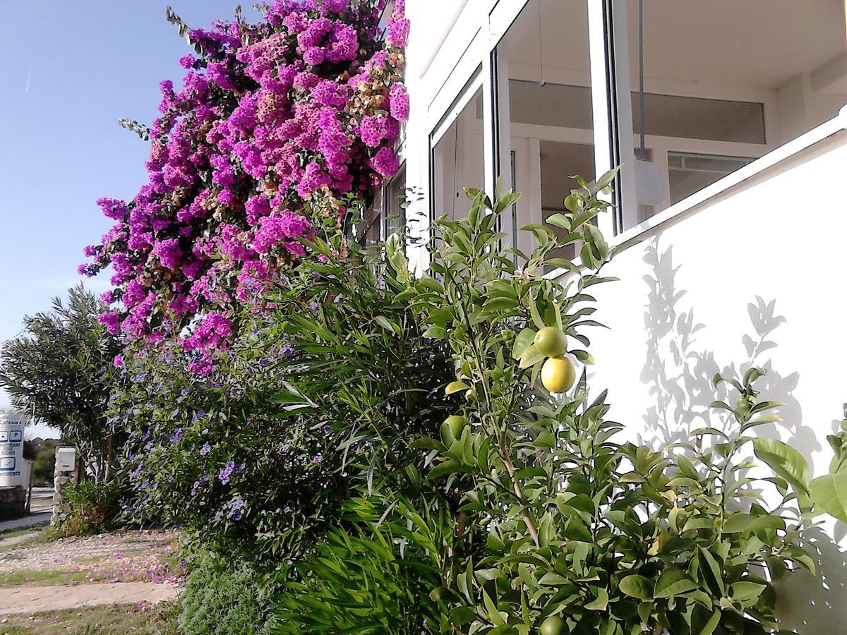 Apartment Sanja Petrcane Exterior photo